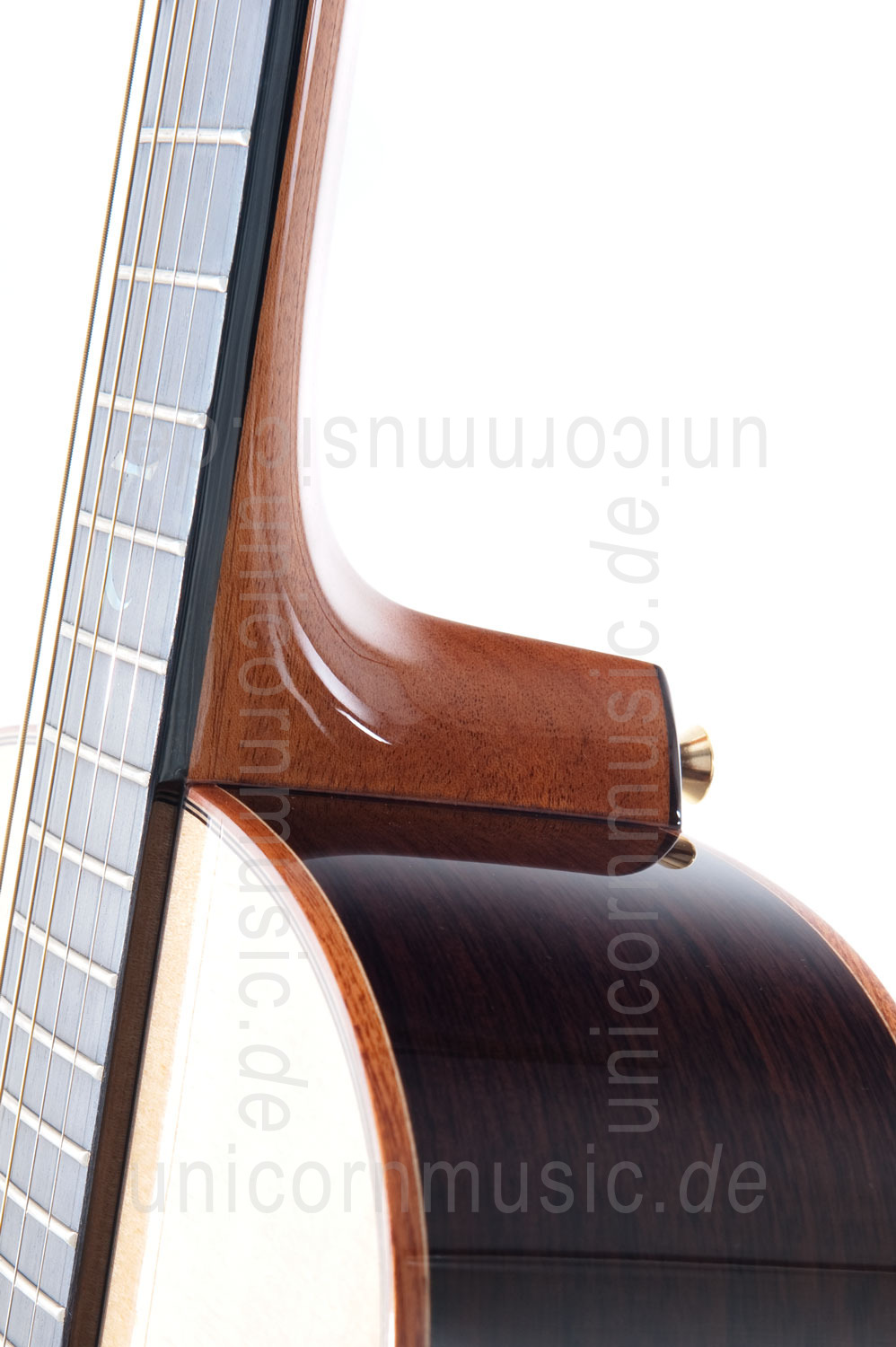 to article description / price Acoustic Guitar TANGLEWOOD TSR/2 - MASTERDESIGN Series - Grand Auditorium - B-Band A1.2 - all solid + Hardcase
