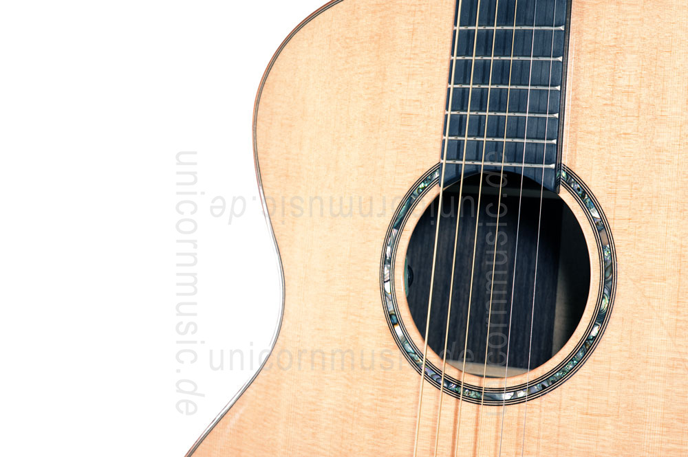 to article description / price Acoustic Guitar TANGLEWOOD TSR/2 - MASTERDESIGN Series - Grand Auditorium - B-Band A1.2 - all solid + Hardcase