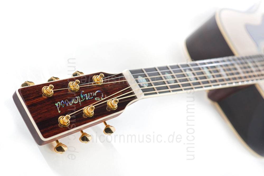 to article description / price Acoustic Guitar TANGLEWOOD TW1000/H SR - Heritage Series - Dreadnought - all solid + Hardcase