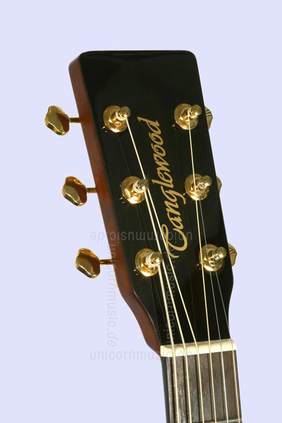 to article description / price Acoustic Guitar TANGLEWOOD TW12-DS - Sundance Series - Dreadnought - Solid spruce top
