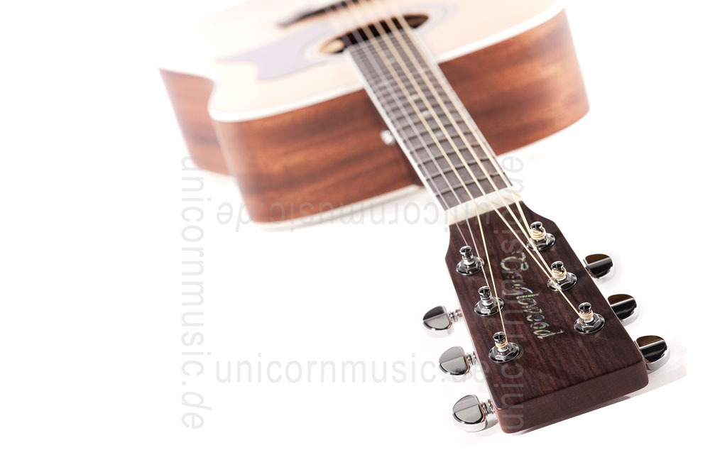 to article description / price Acoustic Guitar TANGLEWOOD TW15/NS - Sundance Series - Dreadnought - all solid