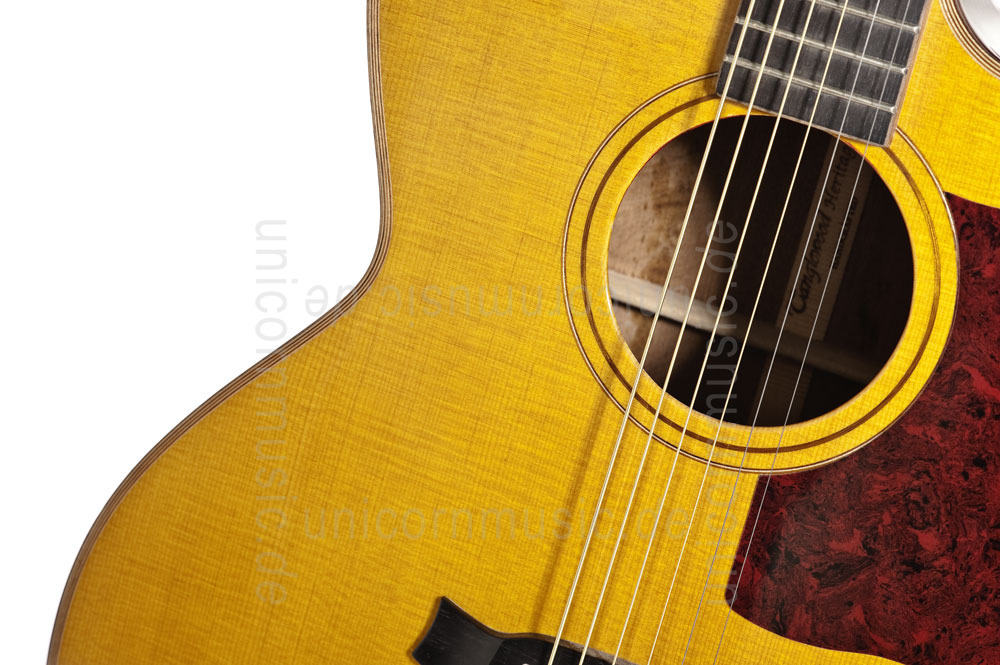 to article description / price Acoustic Guitar TANGLEWOOD TW55/H E - Heritage Series - Fishman Presys Blend - Jumbo - Cutaway - all solid