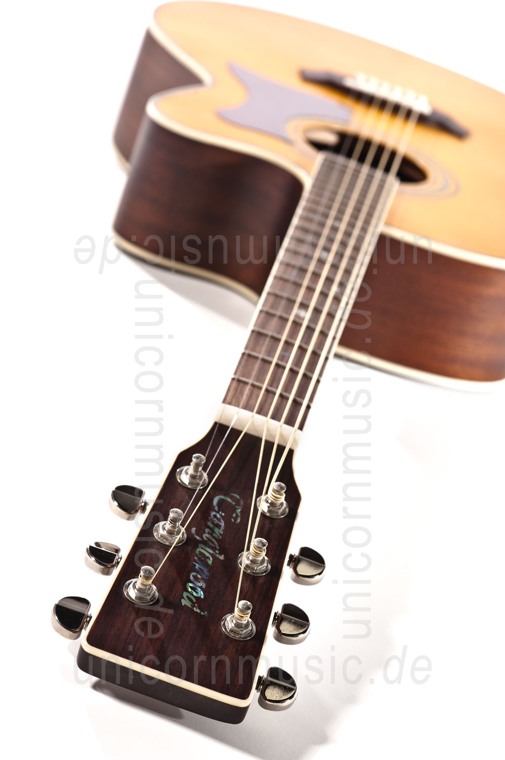 to article description / price Acoustic Guitar TANGLEWOOD TW55/NS E - Sundance Series - Fishman Presys Plus EQ - Jumbo - Cutaway - solid top + back