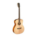 Acoustic Guitar JAMES NELIGAN Bes AN - Auditorium- solid spruce top