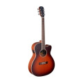 Acoustic Guitar JAMES NELIGAN Ezr OM - Orchestra + Fishman Pickup - solid cedar top