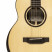 Crafter-Mino-ROSE-Body.jpg