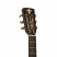 Crafter-Mino-ROSE-Headstock.jpg