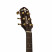 Crafter_DG_G1000CE_head.jpg