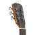 JamesNeligan-Bes-AN-headstock.jpg