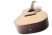 cort-earth-100-rosewood-body.jpg