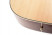 cort-earth-70e-ns-bottom.jpg