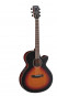 det-cort-sfx-3tss.jpg