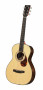 det-furch-oom-31sr-lr-baggs-element-active.jpg