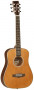 det-tanglewood-evolution-tb-dlx.jpg