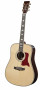 det-tanglewood-tw1000-h-sr-e-set.jpg