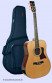 det-tanglewood-tw12-ds-set.jpg