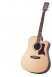 det-tanglewood-tw15-ns-ce.jpg