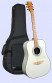 det-tanglewood-tw15-seagull-wh-set.jpg