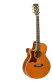 det-tanglewood-tw45-ns-e-lefthand-set.jpg