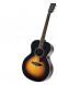 det-tanglewood-tw60-sc-vs-e.jpg