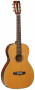 det-tanglewood-tw73-e-pro-spec-fishman-set.jpg