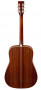 eastman-e20-d-back.jpg