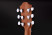 furch-blue-d-sw-headstock-back.jpg