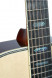 tanglewood-tw1000-fretboard.jpg