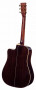 tanglewood-tw1000-h-src-e-back.jpg