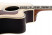 tanglewood-tw1000-h-src-e-cutaway.jpg