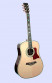 tanglewood-tw1000.jpg