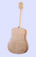 tanglewood-tw15-fmp-back.jpg