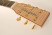 tanglewood-tw15-fmp-head.jpg