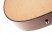 tanglewood-tw15-h-e-purfling.jpg