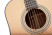 tanglewood-tw15-h-e-soundhole.jpg