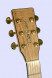 tanglewood-tw15-seagull-head.jpg