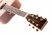 tanglewood-tw15h-neck.jpg