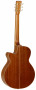 tanglewood-tw45-h-e-back.jpg