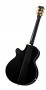 tanglewood-tw49-bk-dlx-e-back.jpg