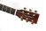 tanglewood-tw55-h-e-headstock.jpg