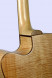 tanglewood-tw66-fmp-b-back.jpg