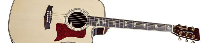 Acoustic-Guitars