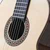 Guitars